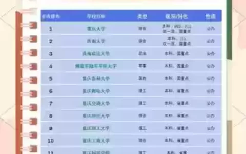 重庆高校阵容