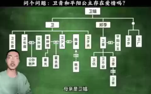 卫子夫阵容教学