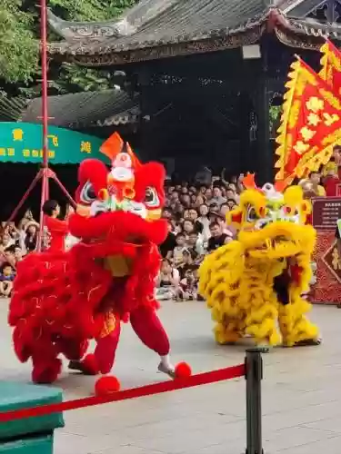 武狮阵容插图