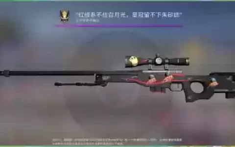 csgo武器名称_1