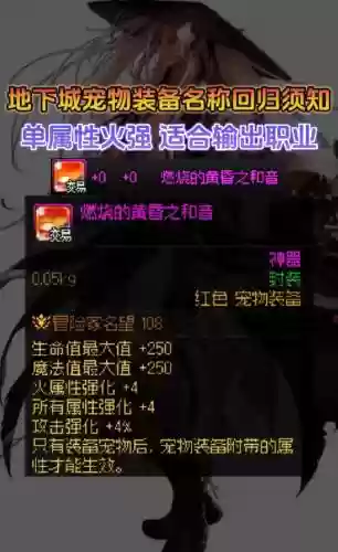 dnf2018宠物装备能买吗插图1