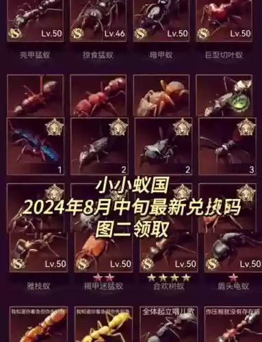 小小帝国装备怎么获得插图1