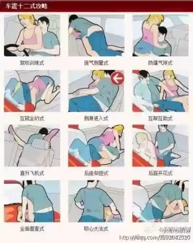车震教学攻略视频大全视频插图1