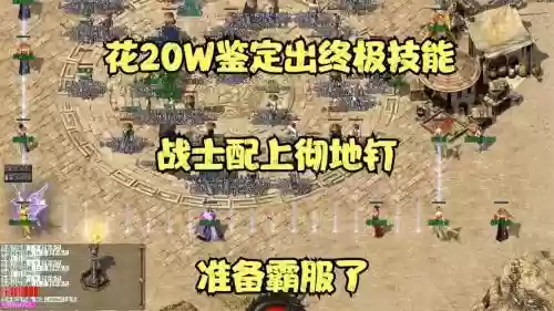 彻地丁技能数据插图1
