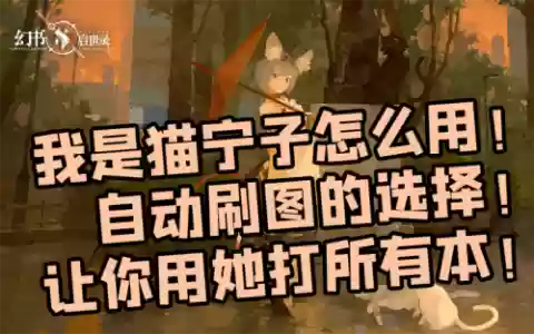 猫老虎阵容