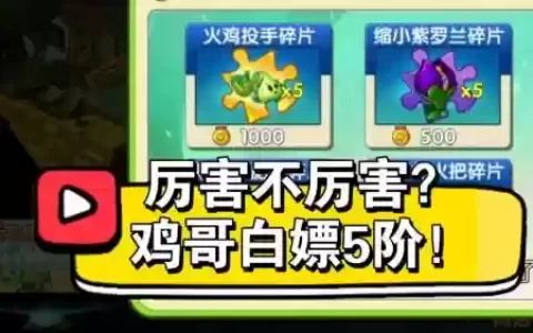 火鸡投手阵容
