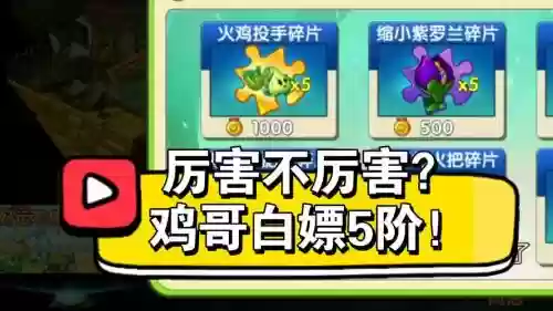 火鸡投手阵容插图