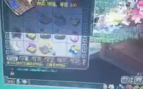 梦幻西游无与伦比哪个区环贵