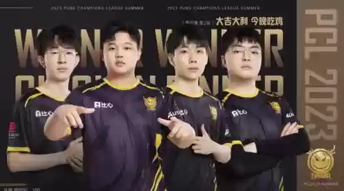 落霞组合阵容插图