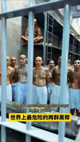 监狱豪华阵容插图