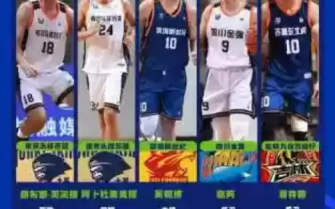 赛区阵容最新