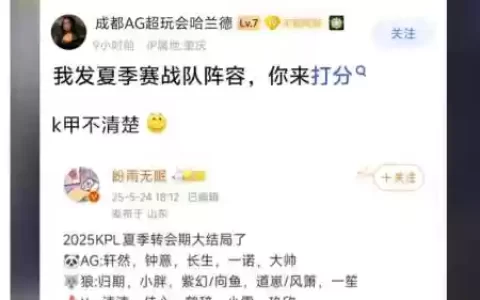 dpl比赛阵容
