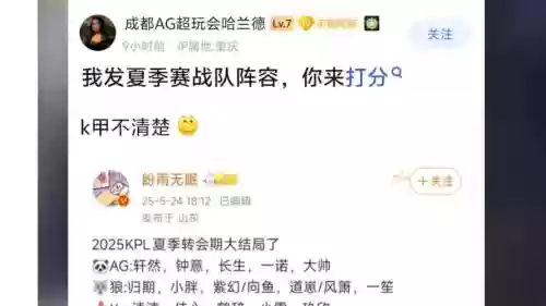 dpl比赛阵容插图