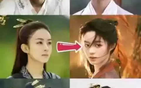楚乔传2星月夫妇阵容搭配