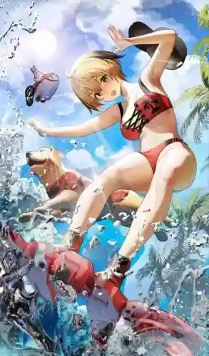 fgo夏日御主装备插图1