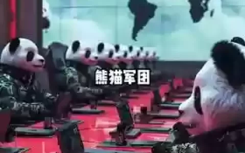 熊猫合作阵容_1