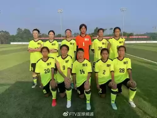 雅安队阵容插图1