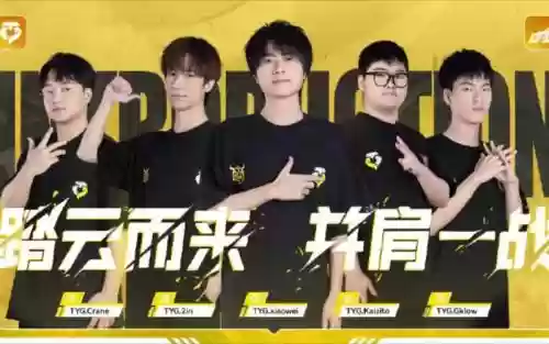 tyg战队阵容插图